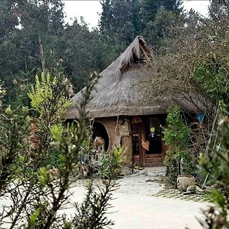 Cabañas Rukas Licantén Exterior foto